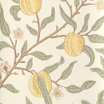 tritri&coページ 710pugW5rRL._AC_UF350,