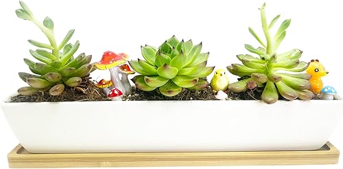 Miniatura 2 de 11 pulgadas de largo rectángulo blanco suculento plantador de cerámica macetas/mini contenedores de plantas de flores con platillos de bambú. tamaño