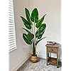 Product Photo 9