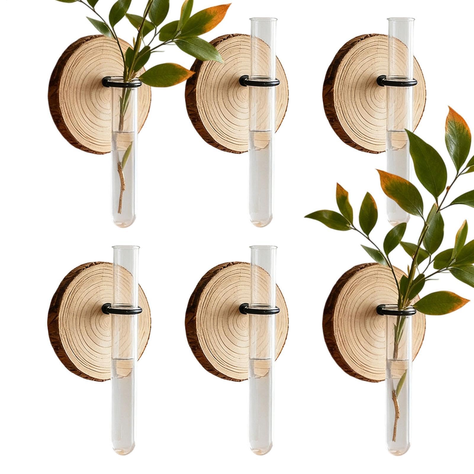 Tubes à essai pour plantes Generisch x6 avec support mural en bois pour bouturage maison