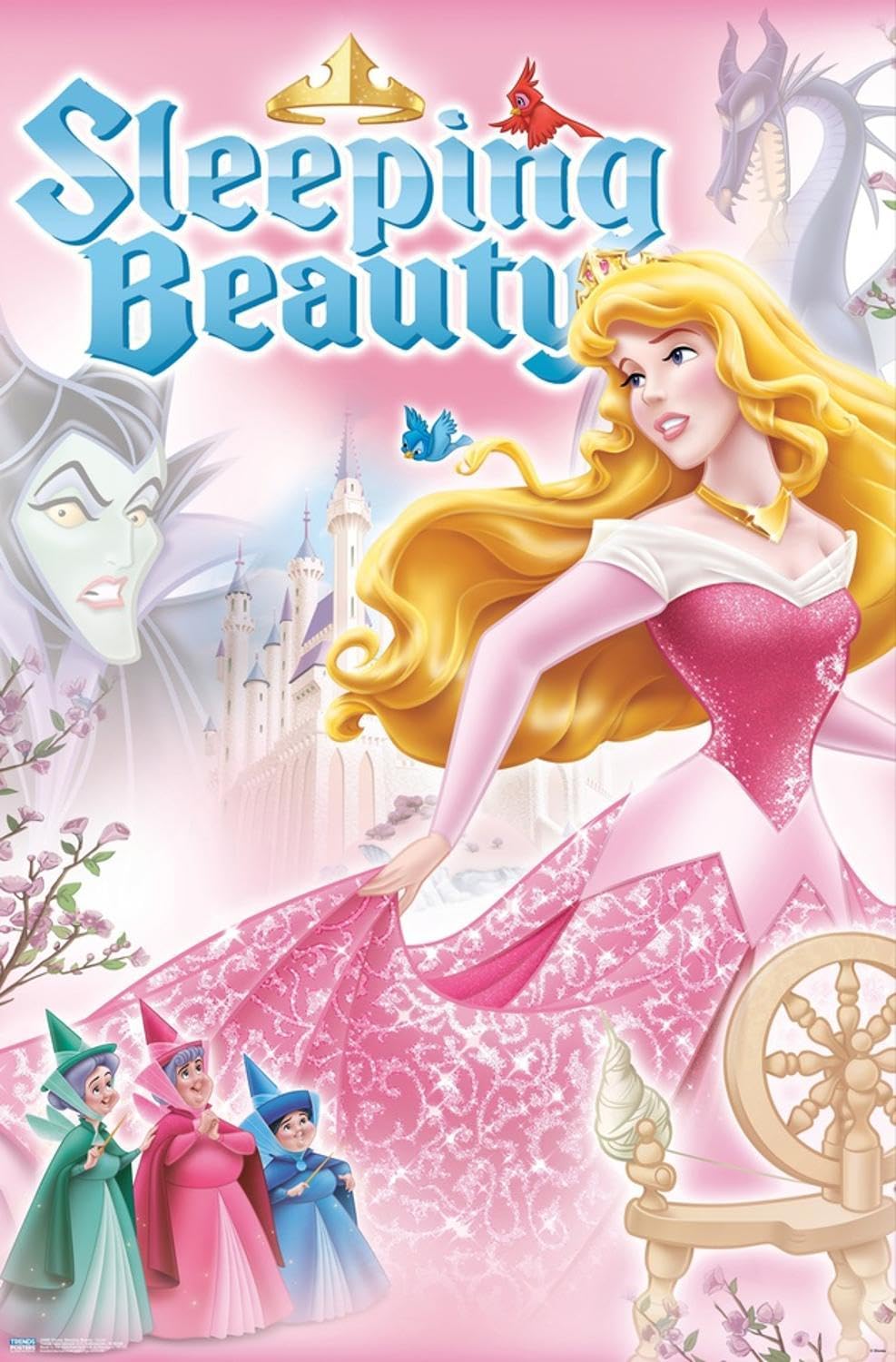 Amazon.com: Disney Sleeping Beauty - Cover Wall Poster, 19L