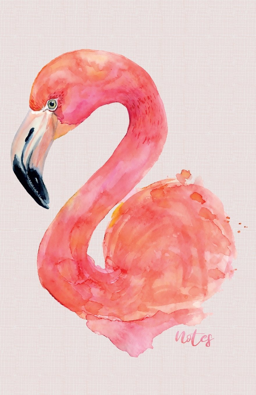 Notes: Watercolour Flamingo Notebook 100+ Lined Pages A5 Ruled Journal Pink Composition Book for Writing and Journalling: Volume 1 (Flamingo Notebooks)