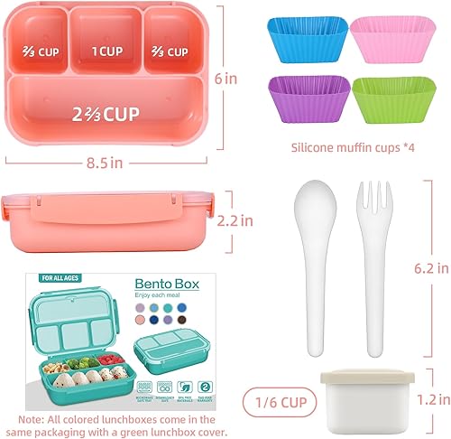Miniatura 2 de QQKO Lonchera Bento para adultos, hombres, mujeres, niños pequeños, para la escuela, niñas, niños, recipientes de almuerzo para adultos y niños con
