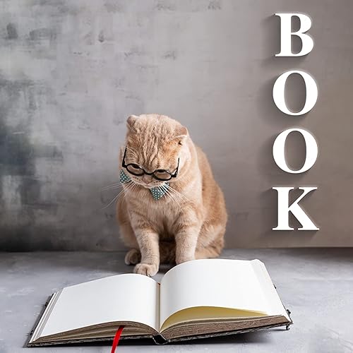 Miniatura 7 de Letras de madera sin terminar de 12 pulgadas de alto y puntos de pegamento, grosor de 0.27 pulgadas, para decoración de letreros de bricolaje, pared