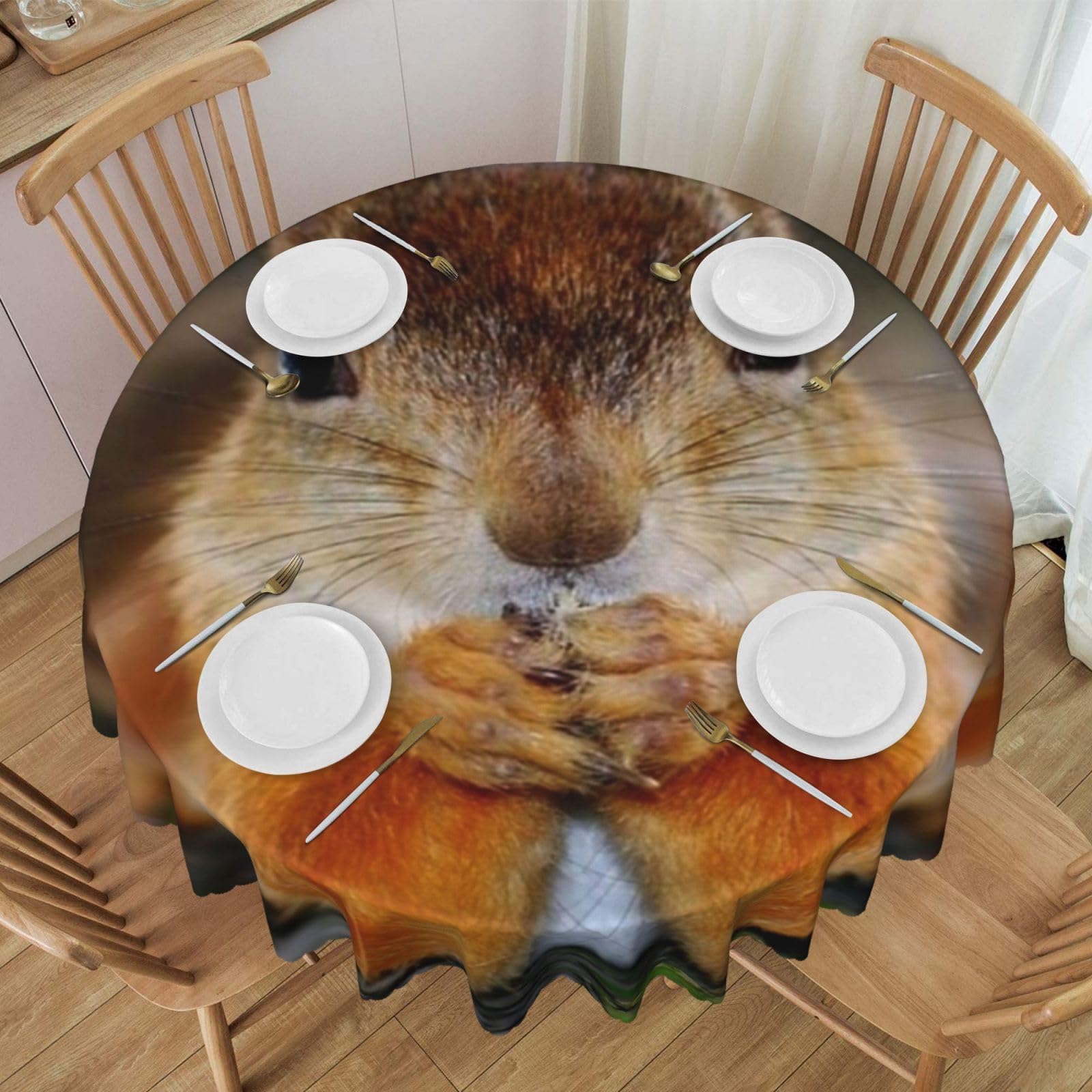 DCEHGEW 60 In Round Tablecloth with Lace, Funny Squirrel Printed Oilproof & Washable Fabric Picnic Table Cloth Table Covers