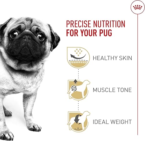 Miniatura 5 de Royal Canin Breed Health Nutrition - Alimento seco para perros adultos