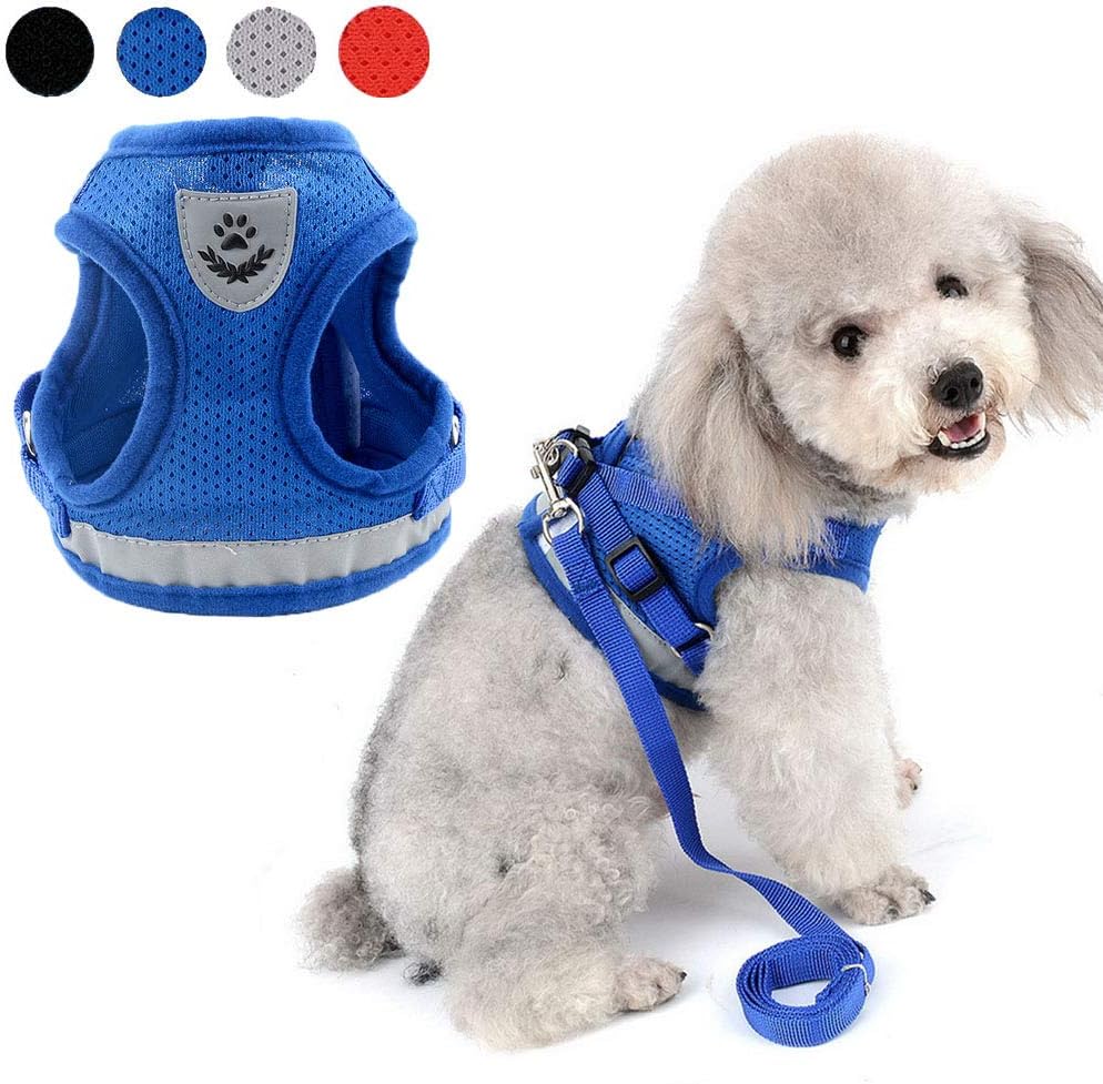 Zunea No Pull Dog Harness for Small Dog, Reflective Breathable Soft Mesh Padded Step-in Vest Harness Leash Set, Adjustable Puppy Dog Cat Lead for Daily Walking Running Training - (Blue, L)