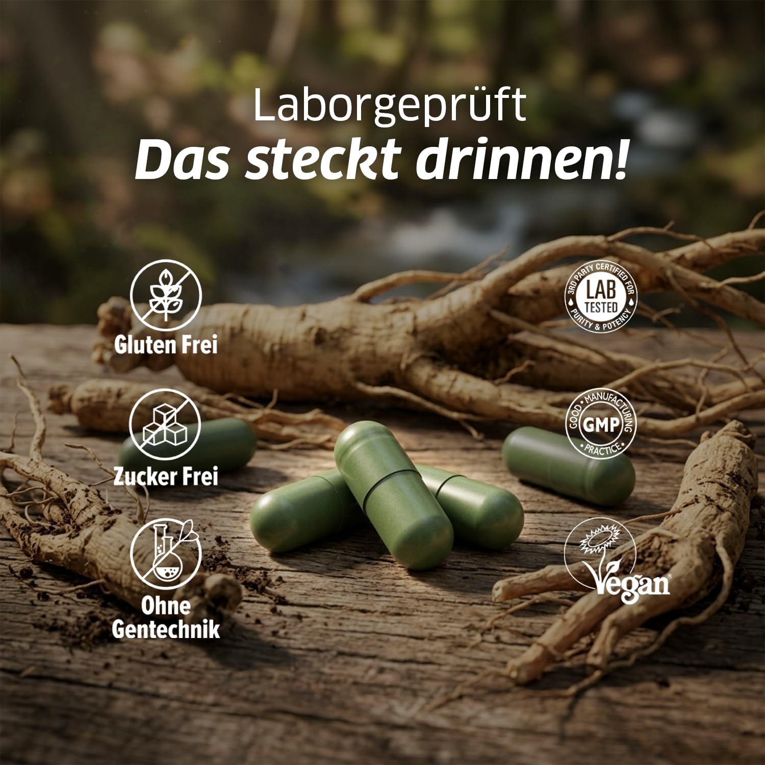 ORZAX Panax Ginseng C.A. Meyer – 1000mg Hochdosiert – 30% Ginsenoside – 120 Kapseln – Original Koreanischer Ginseng Wurzel-Extrakt – Vegan & Laborgeprüft