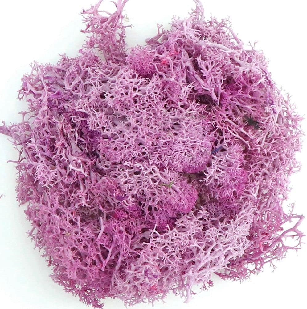 20g Artificial Moss Lichen,Artificial Plants Fake Moss