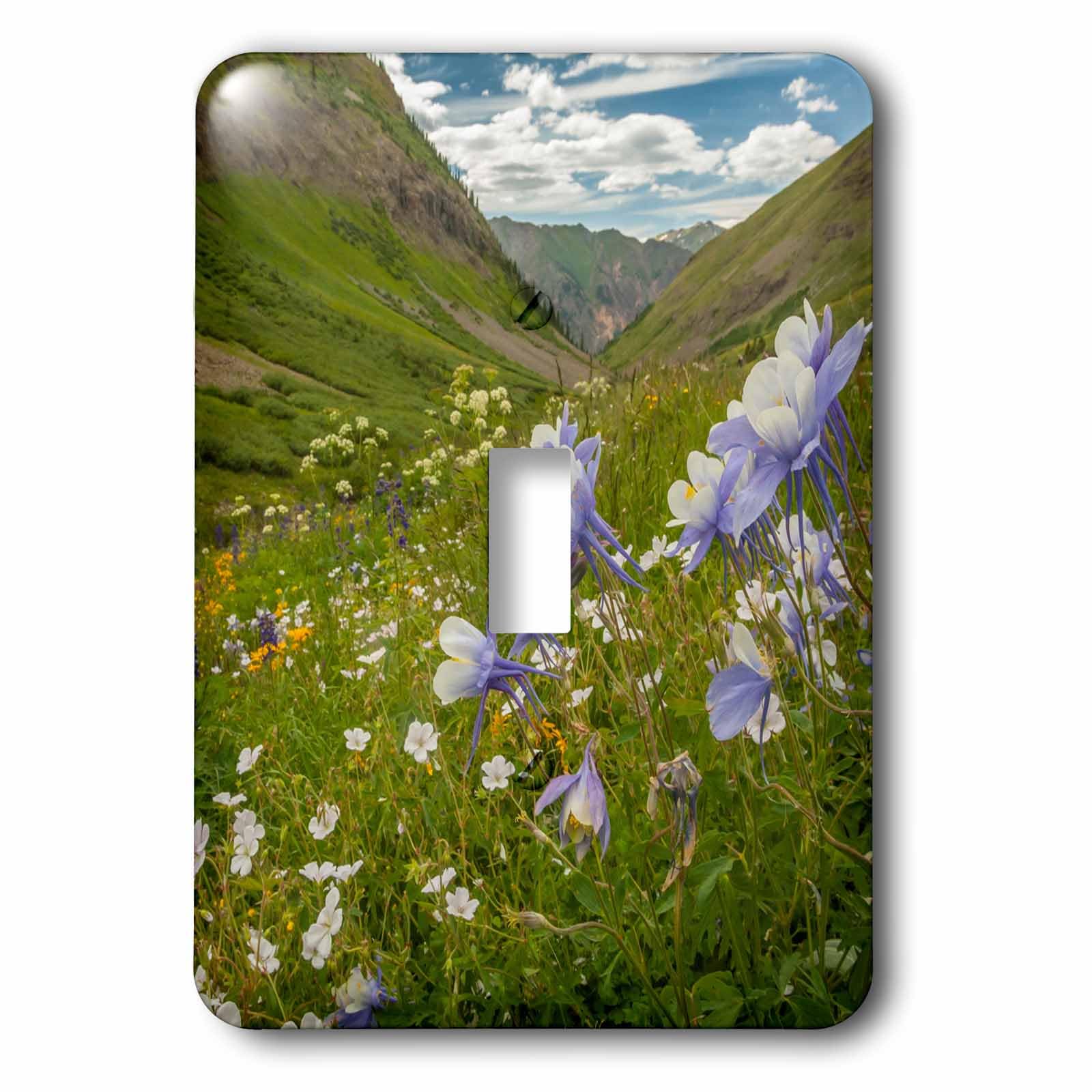 Interrupteur Colorado fleurs sauvages 3dRose Maggies Gulch multicolore