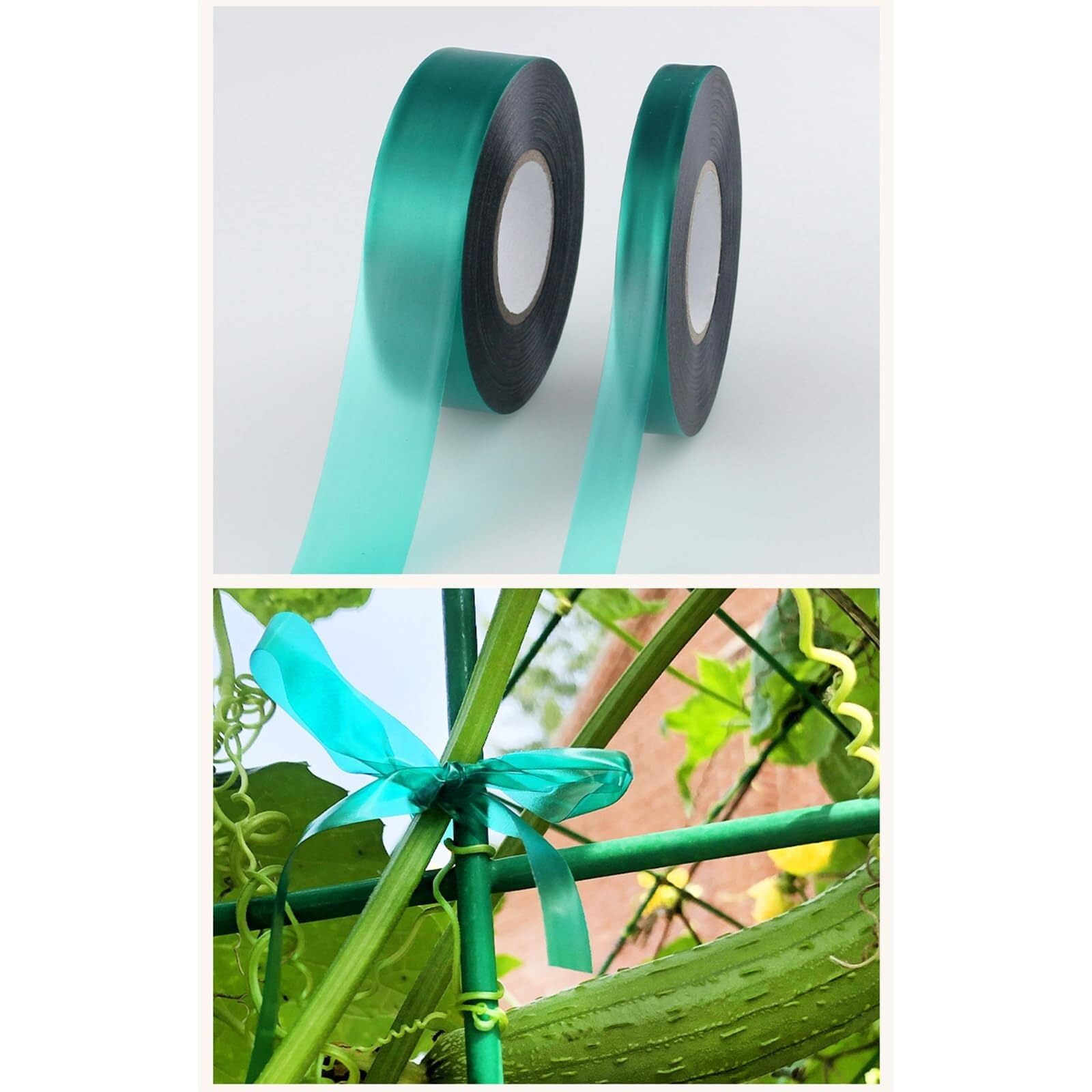 Bandes de Liaison pour Plantes Réglables - 6 Rouleaux, Attaches de Jardin et Câbles pour Fixation Flexible(Width 24mm)