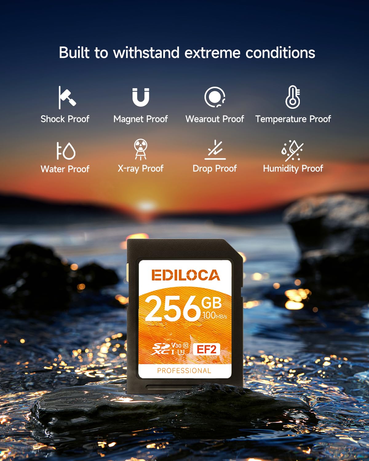 Ediloca Tarjeta de Memoria EF2 UHS-I de 256 GB, Lectura de 100 MB/s, Escritura 90 MB/s, C10, U3, V30, Full HD y vídeo 4K, Tarjeta SD para fotógrafos Profesionales