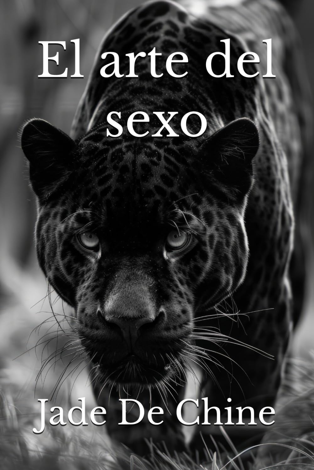 El arte del sexo