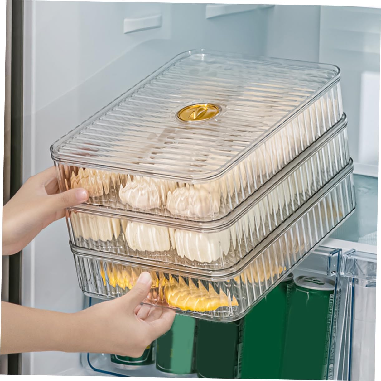 PRETYZOOM Kitchen Fridge Organizer Double Transparent Holder Vegetable Storage Container for Refrigerator Pet Material for Pantry and Freezer Organization