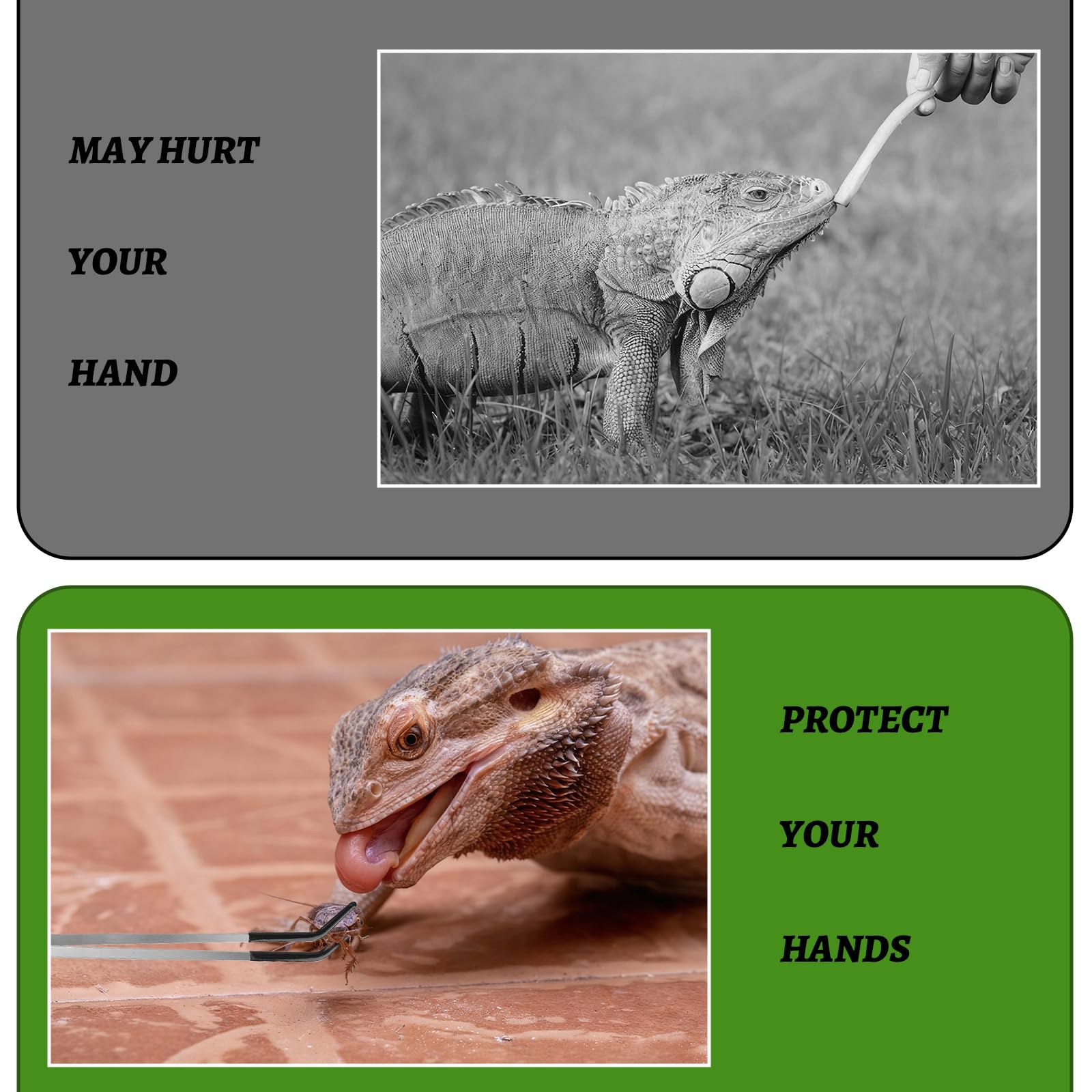 Pinzas de alimentación de reptiles de acero inoxidable con punta de goma, 6 pinzas largas rectas y curvadas, terrario, herramientas de acuascape, alimentador para lagartos, dragón barbudo