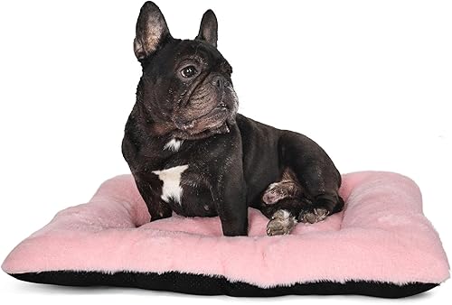 Cama para cachorros de 24 x 17 pulgadas, color rosa, lavable para perros pequeños, cómoda y esponjosa, para uso en interiores y exteriores de 24