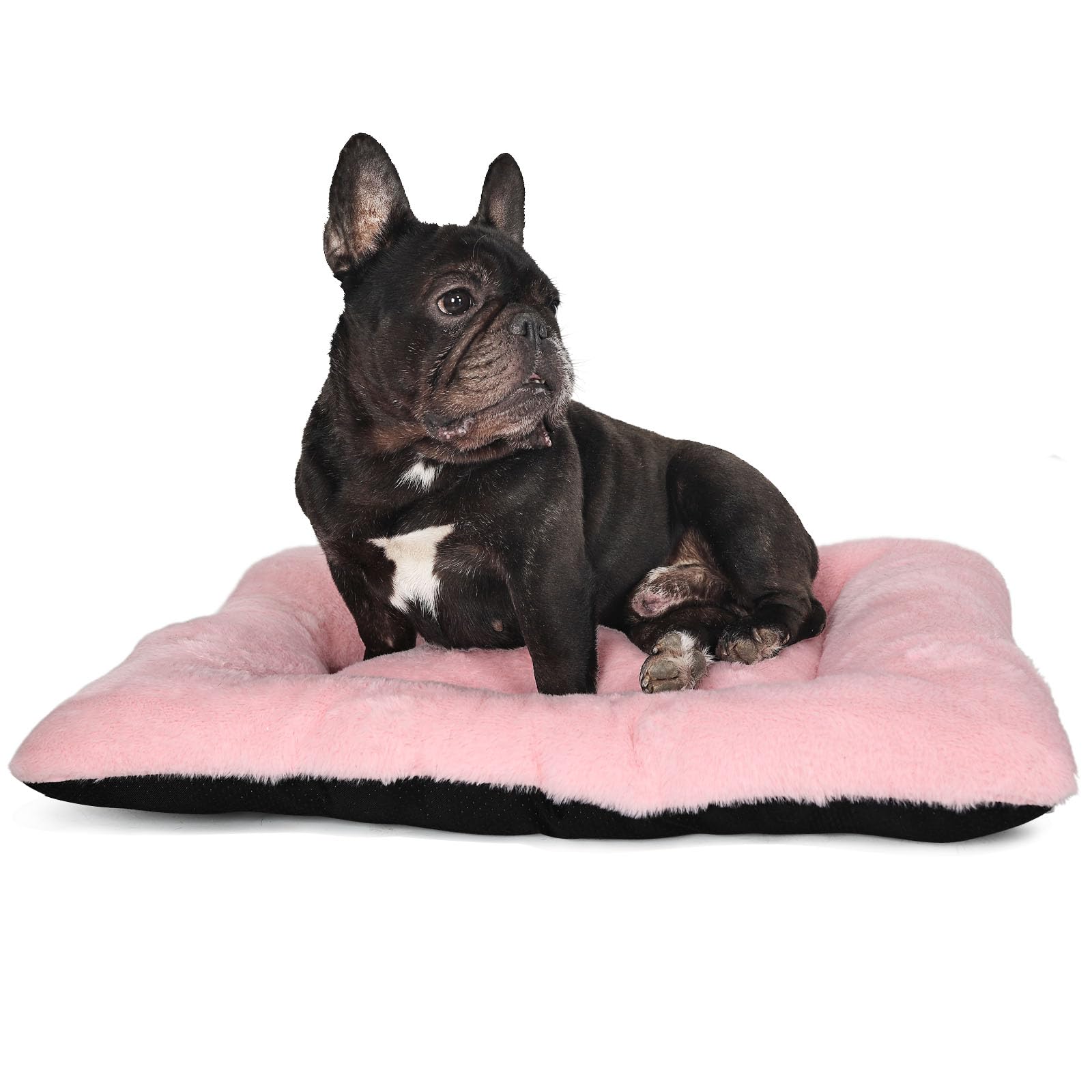 wrkfree Puppy Crate Bed 24 x 17 Pink Washable for Small Dogs Comfy Fluffy for 24 Inch Dog Crate Cage Kennel Indoor and Outdoor Use