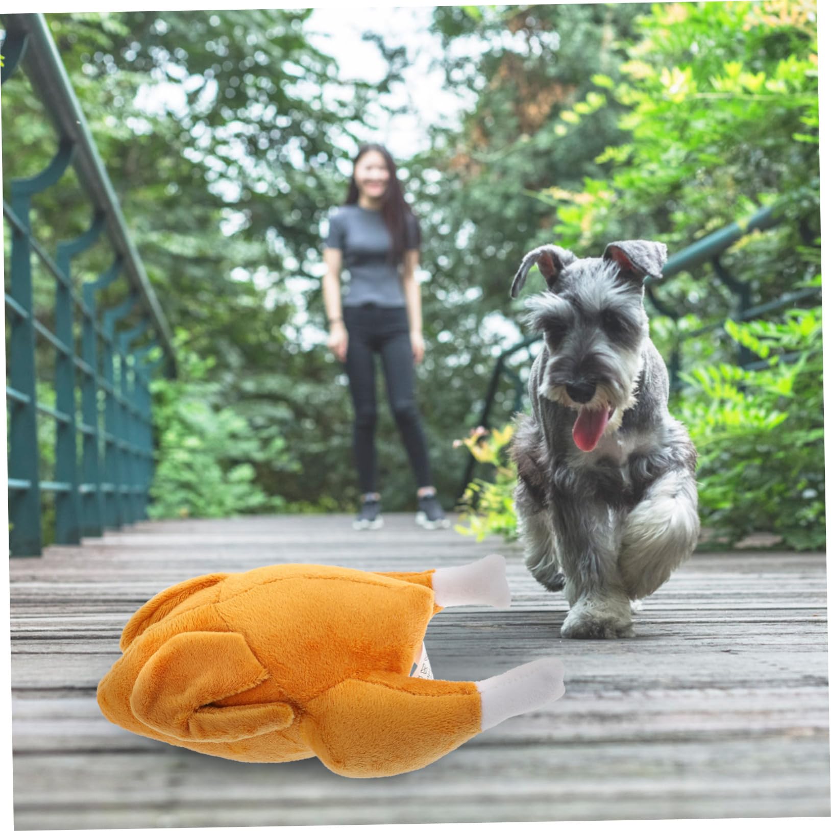 Kisangel 5pièces Jouet à Mâcher Squeaky pour Chiens Jouet Entraînement Sniffing Créatif pour Chiots Accessoire De Jeu Plein Air