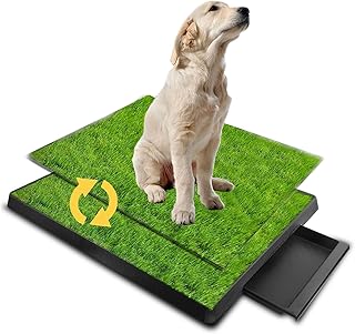 NEWFUN Hundeklo Hundetoilette Welpentoilette Trainingsunterlage, 2X künstliche Grastrainingspads Indoor Hundetöpfchen, Hunde Training, Hundetoilette für kleine & große Hunde(63 X 51CM)