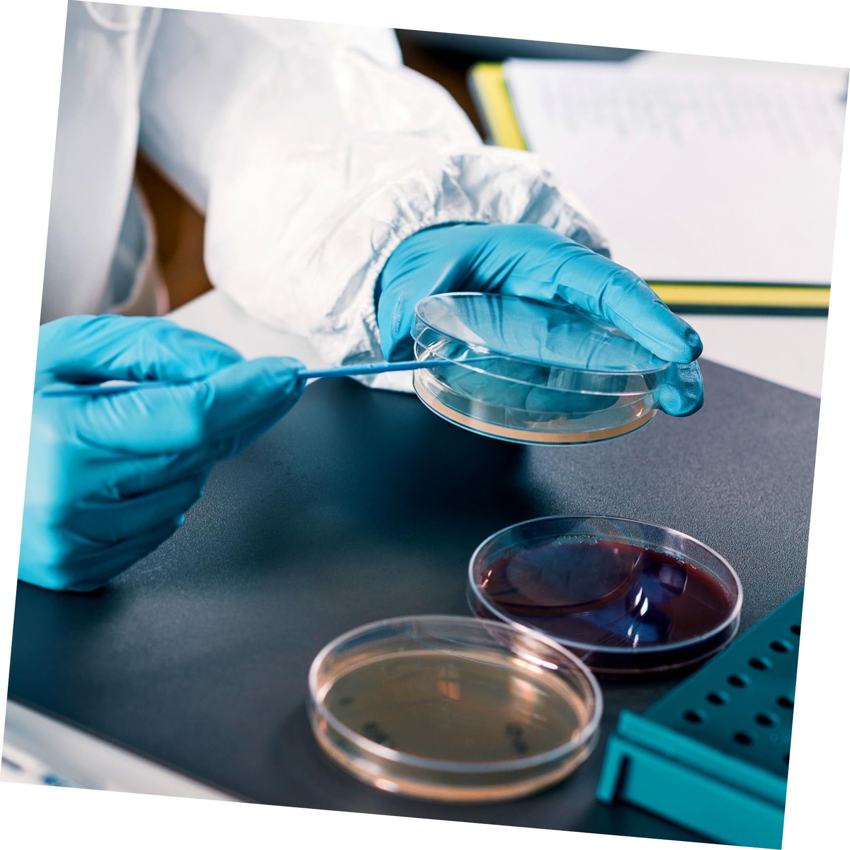 Placas de Agar Nutritivo 7cm, 10 Piezas, Cultivo Listo para Laboratorio | Suministros para Experimentos de Microbiología, Placa de Petri de Agar, Decoracion Colegio