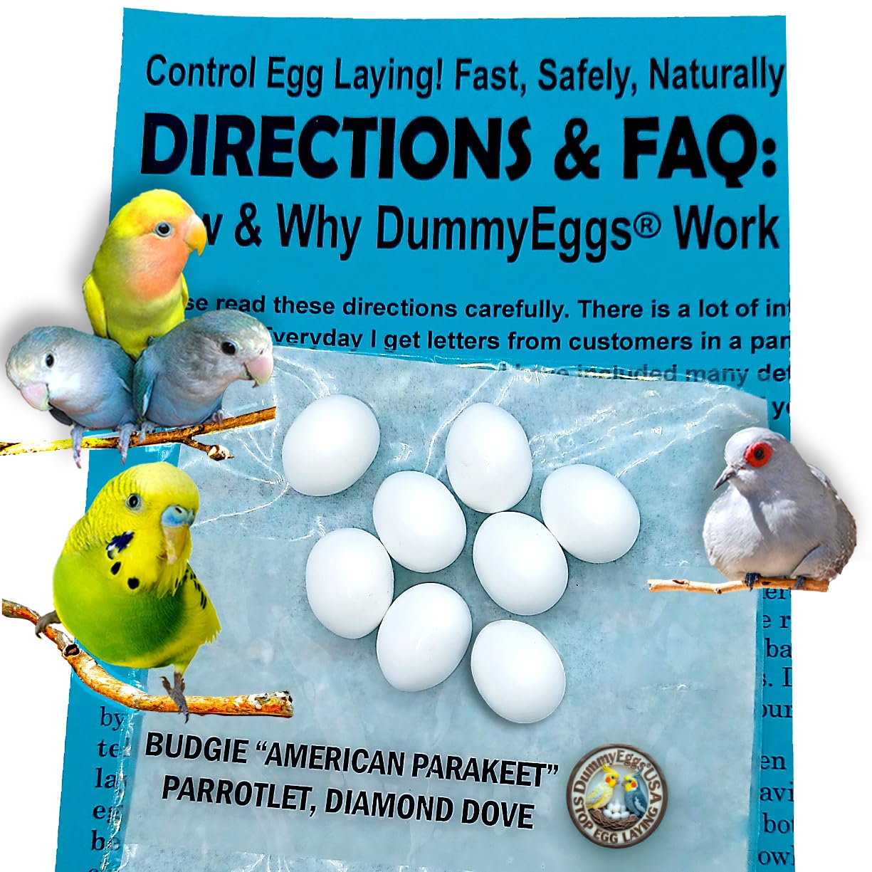 Dia Dove DE Brand USA - Huevos falsos de plástico sólido, 7 huevos falsos de periquito, loro, Dia Dove DE Brand USA