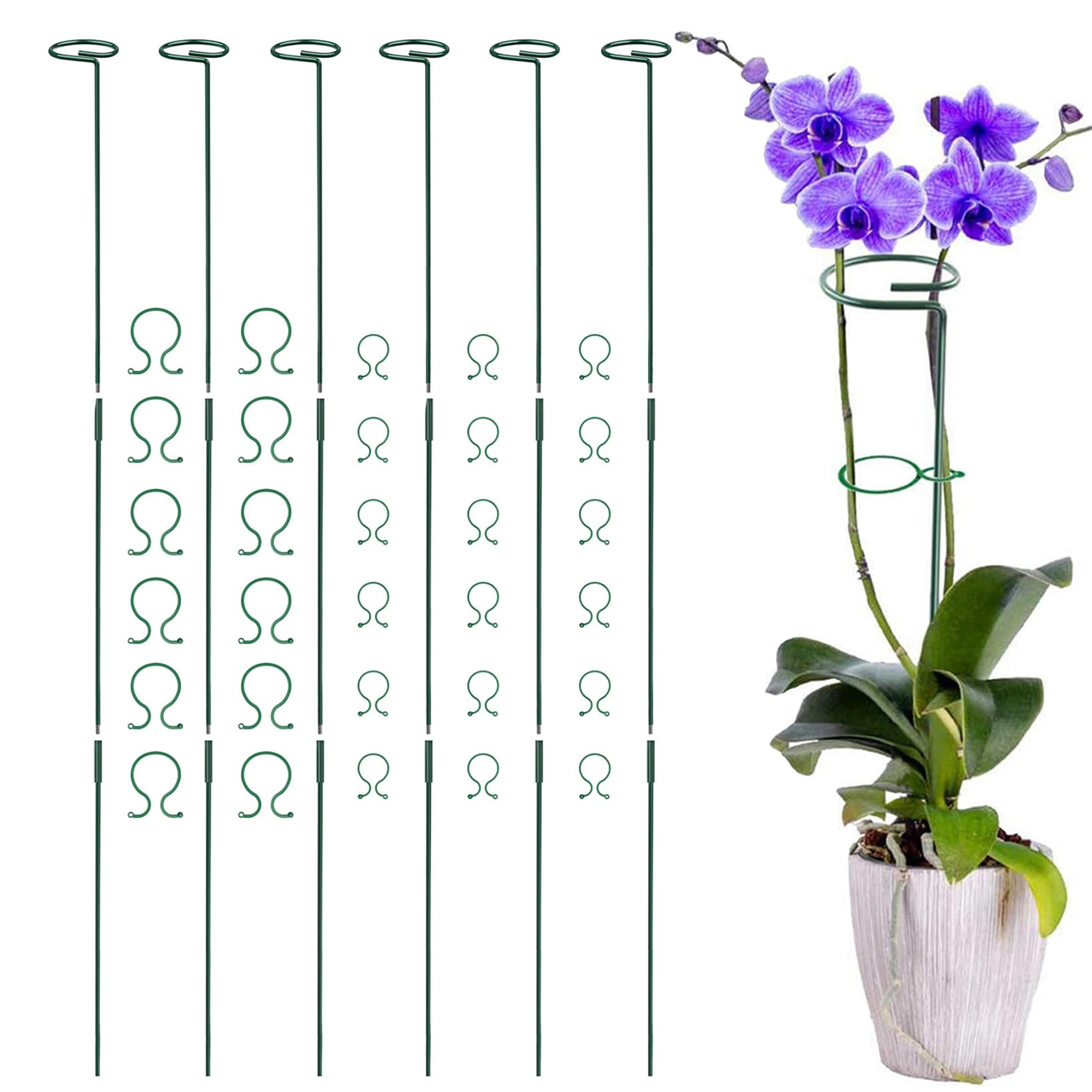 200 Pcs Clips Pour Plantes, Clips Verts De Support Pour Orchidées