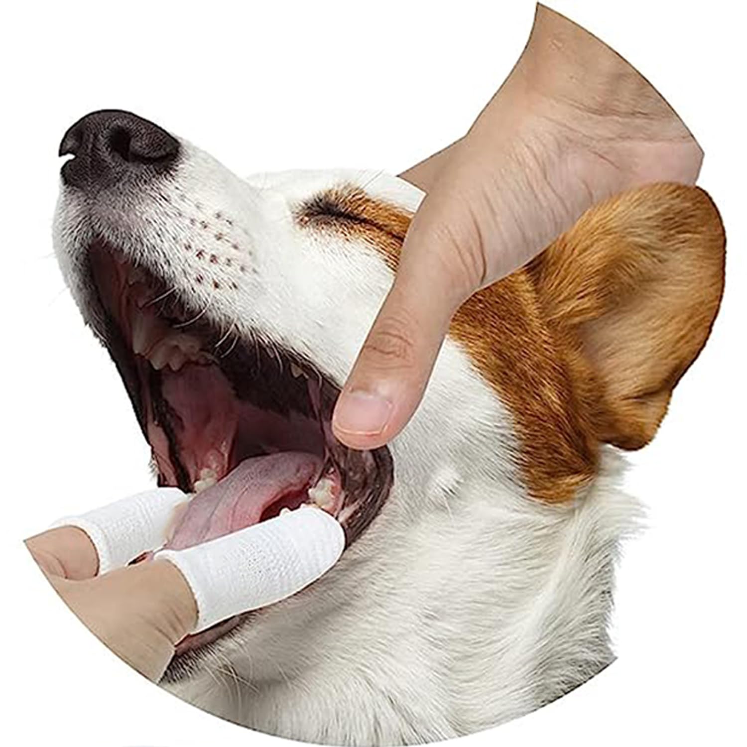 Pet Republique Kit de cepillo de dientes de tela suave para perros y gatos, lavable y reutilizable (6 unidades)