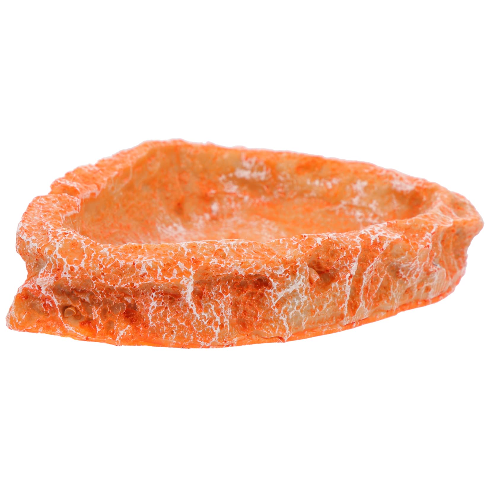 Happyyami Reptile Food Dish Water Bowl Resin Feeder for Tortoise Lizard Snake Multi Use Reptile Supplies for Eating Drinking Design