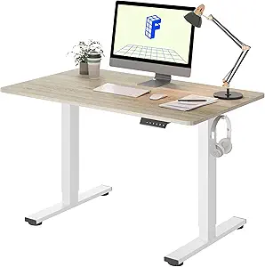 FLEXISPOT EN1 One-Piece Standing Desk, 40 x 24 Inches Electric Height Adjustable Desk for Home Office (White Frame + White Wood Grain Desktop)