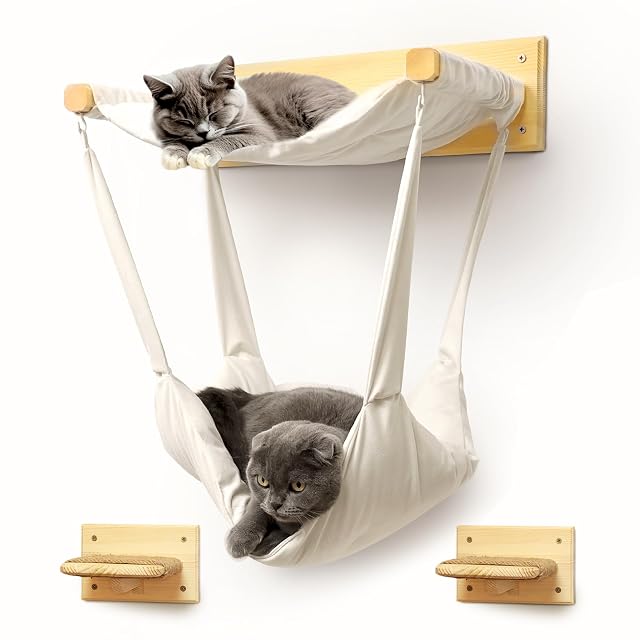 myHANA Juego de pared de escalada para gatos, madera de pino, hamaca para gatos, 2 escaleras para gatos