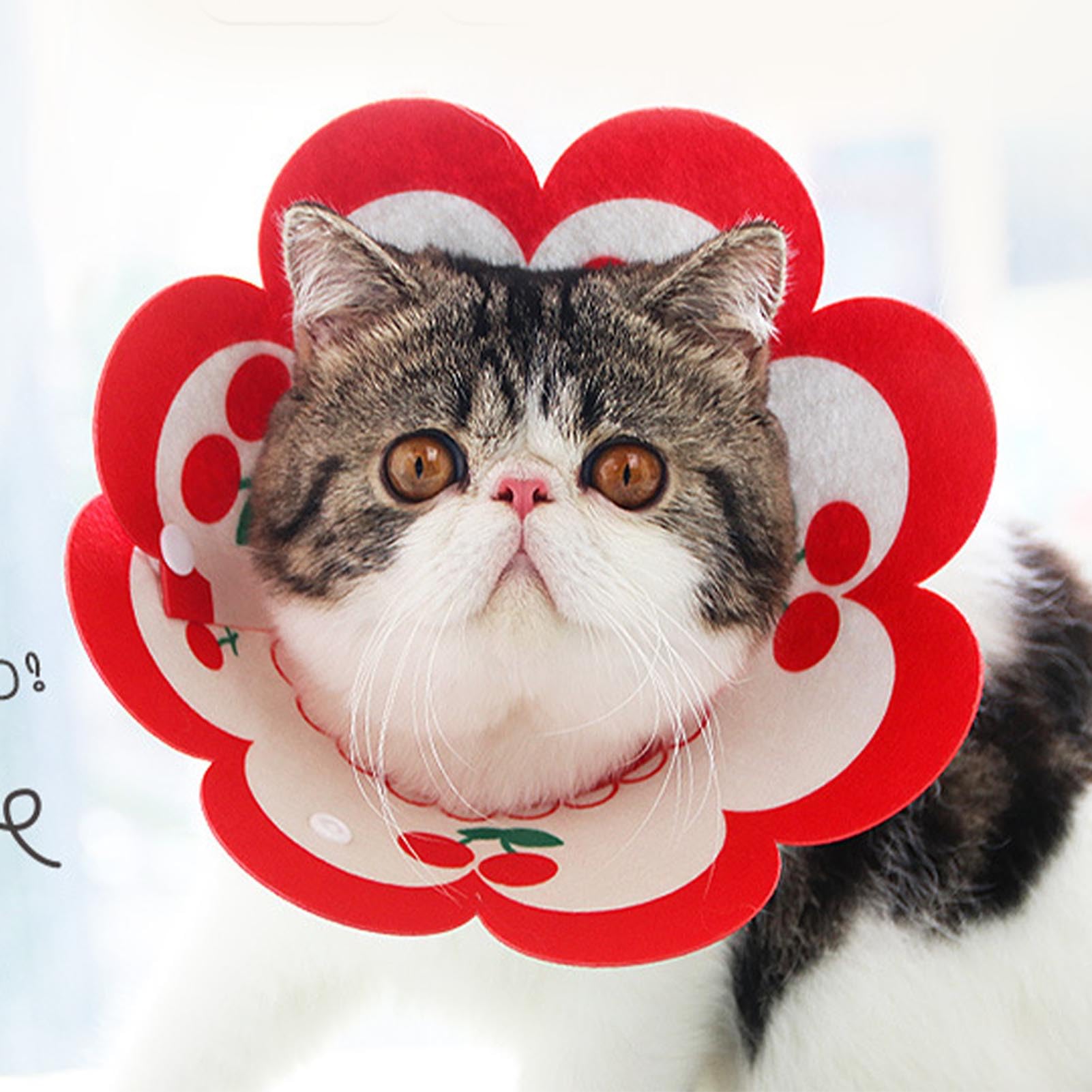 Cat Cone Collar, Soft for Neck, Cat Recovery Collar to Stop Licking After Surgery, Adjustable Elizabethan for Cats, Kittens (Cherry)
