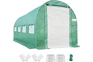 KING BIRD Upgraded 15x6.6x6.6FT Large Walk-in Hoop Greenhouse