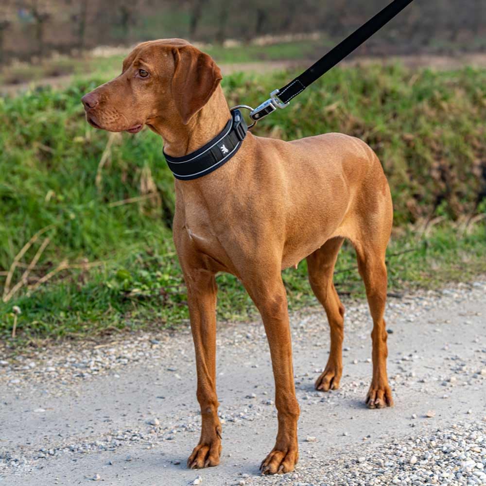 Ferplast Dog Collar GENIUS C25/55, Reflective, Breathable, Adjustable, Quick Release Magnetic Closure - Image 2