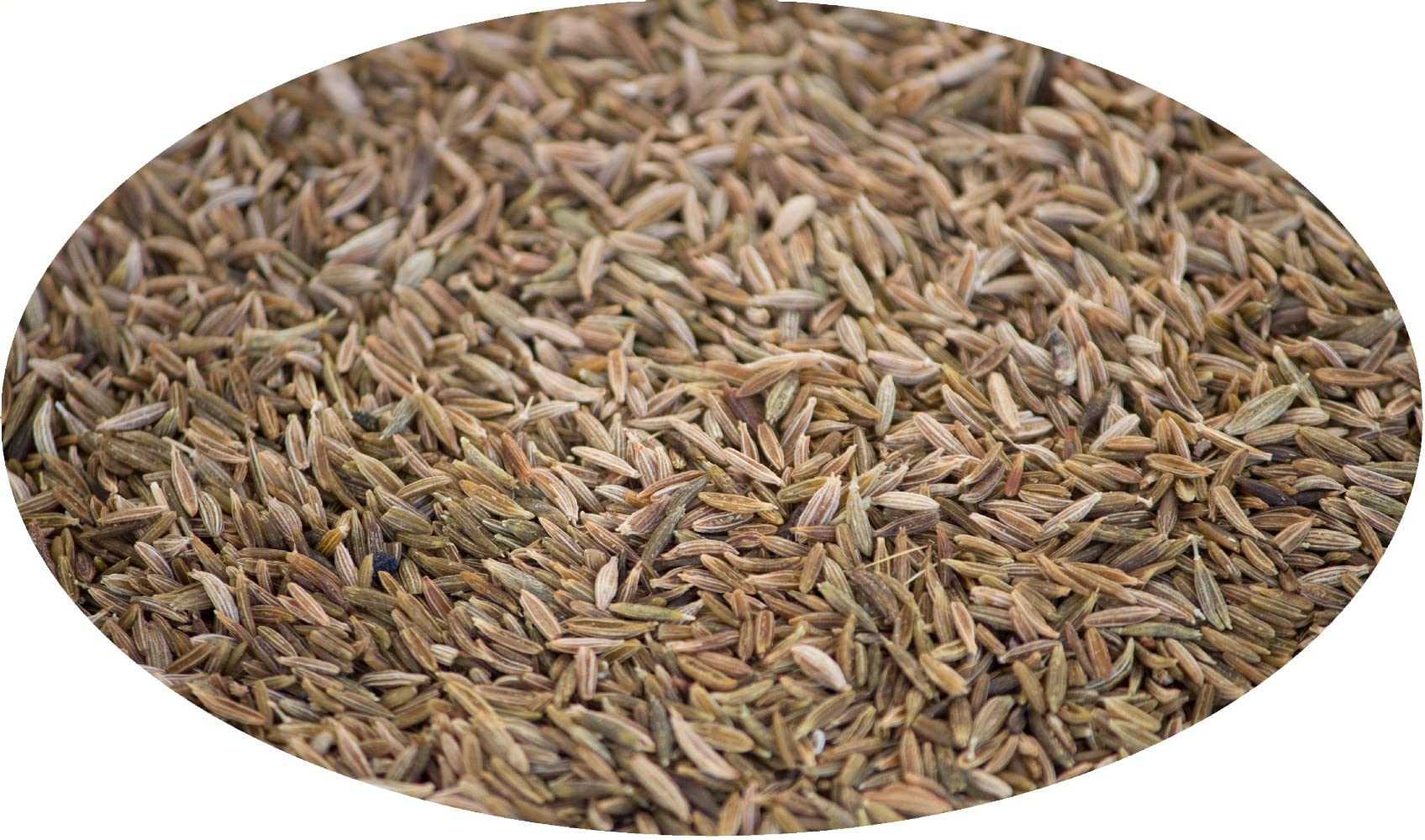 Eder Gewürze - Kreuzkümmel / Mutterkümmel / Cumin ganz - 1kg