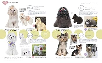 HAIR OF THE DOG ボードゲーム　欠品なし 2025年最新】Hair₋Of₋The₋Dogの人気アイテム - メルカリ