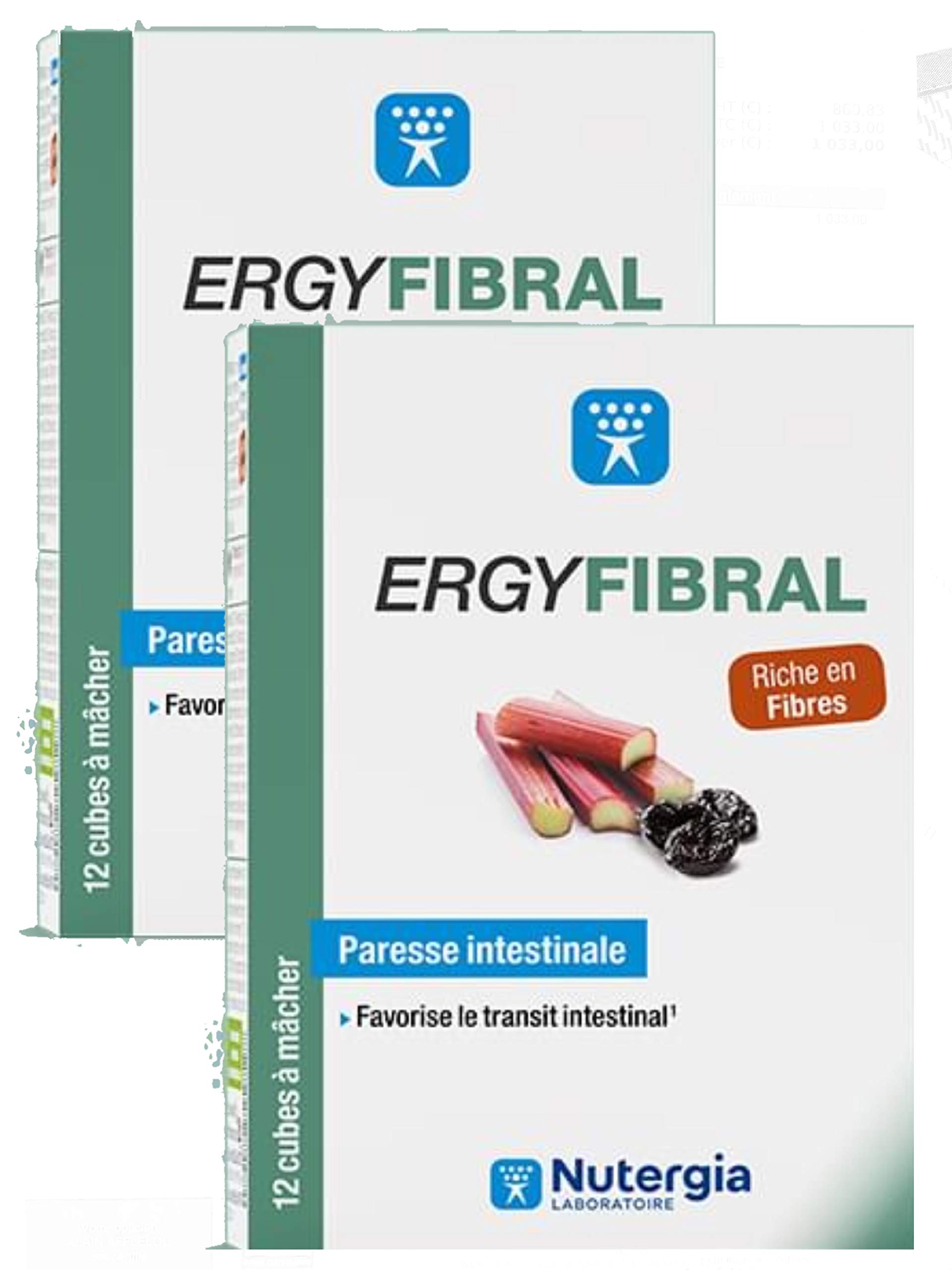 ERGYFIBRAL Cubes à mâcher à base de fruits et plantes riches en fibres et magnésium.- Nutergia - Lot de 2 Boites de 12 Cubes (2)