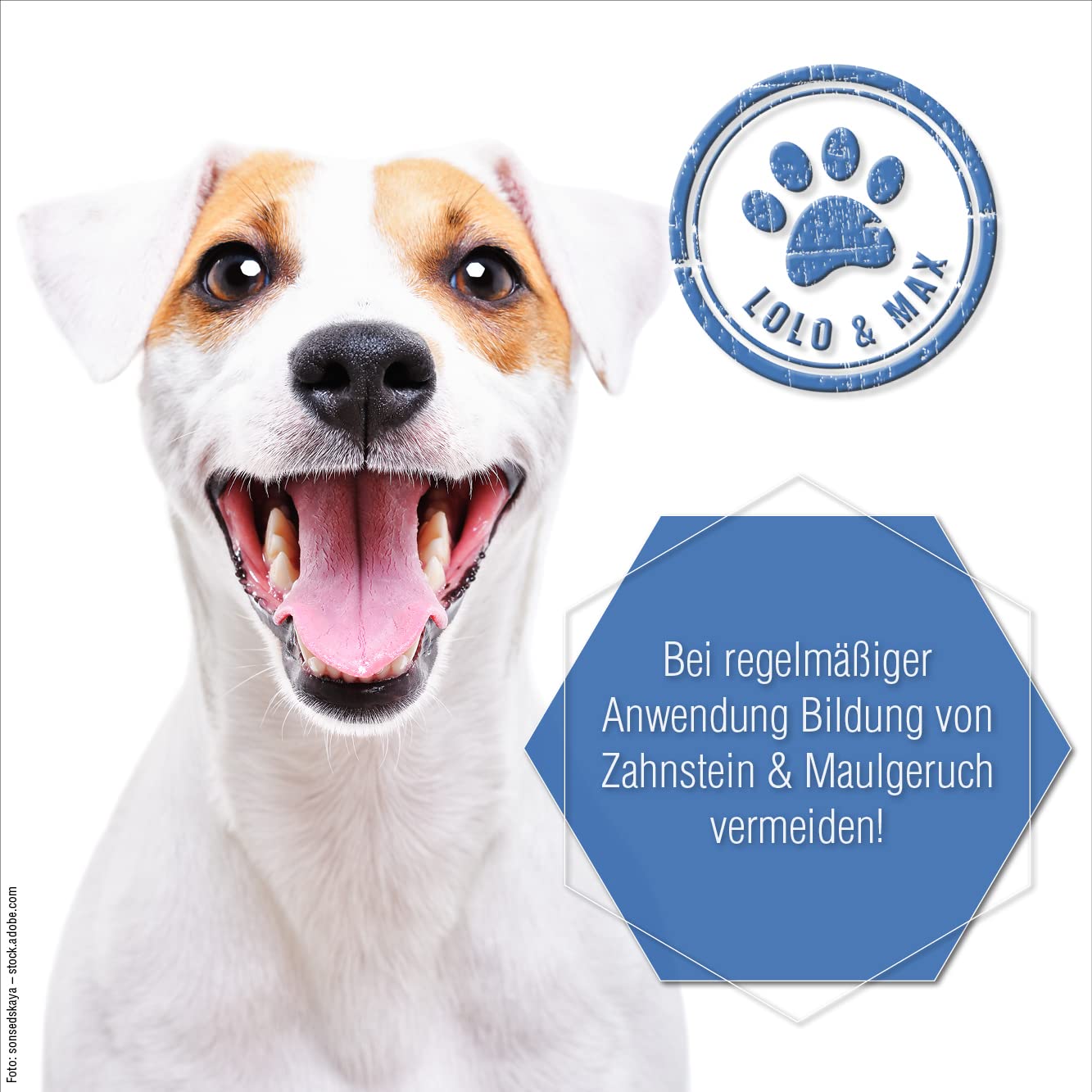 Lolo & Max natürliche Zahnpflege für Hund & Katze - DentaCare Trinkwasserzusatz zur Zahnreinigung für Haustiere - gegen Zahnbelag, Zahnstein & Maulgeruch - vegan - kein Mundgeruch mehr - 470ml