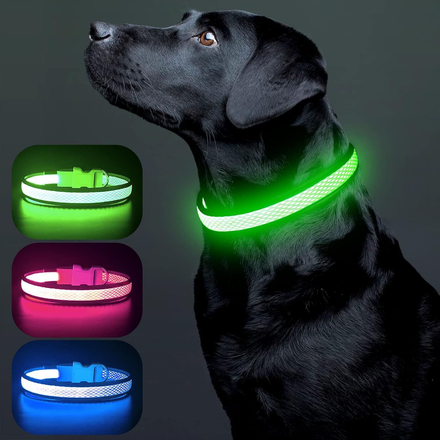 Colaseeme LED Dog Collar,Light Up Dog Collar Rechargeable Waterproof Micro USB Mesh Adjustable Plastic Buckle D Ring Glow Safety Basic Dog Collars for Dogs(Green