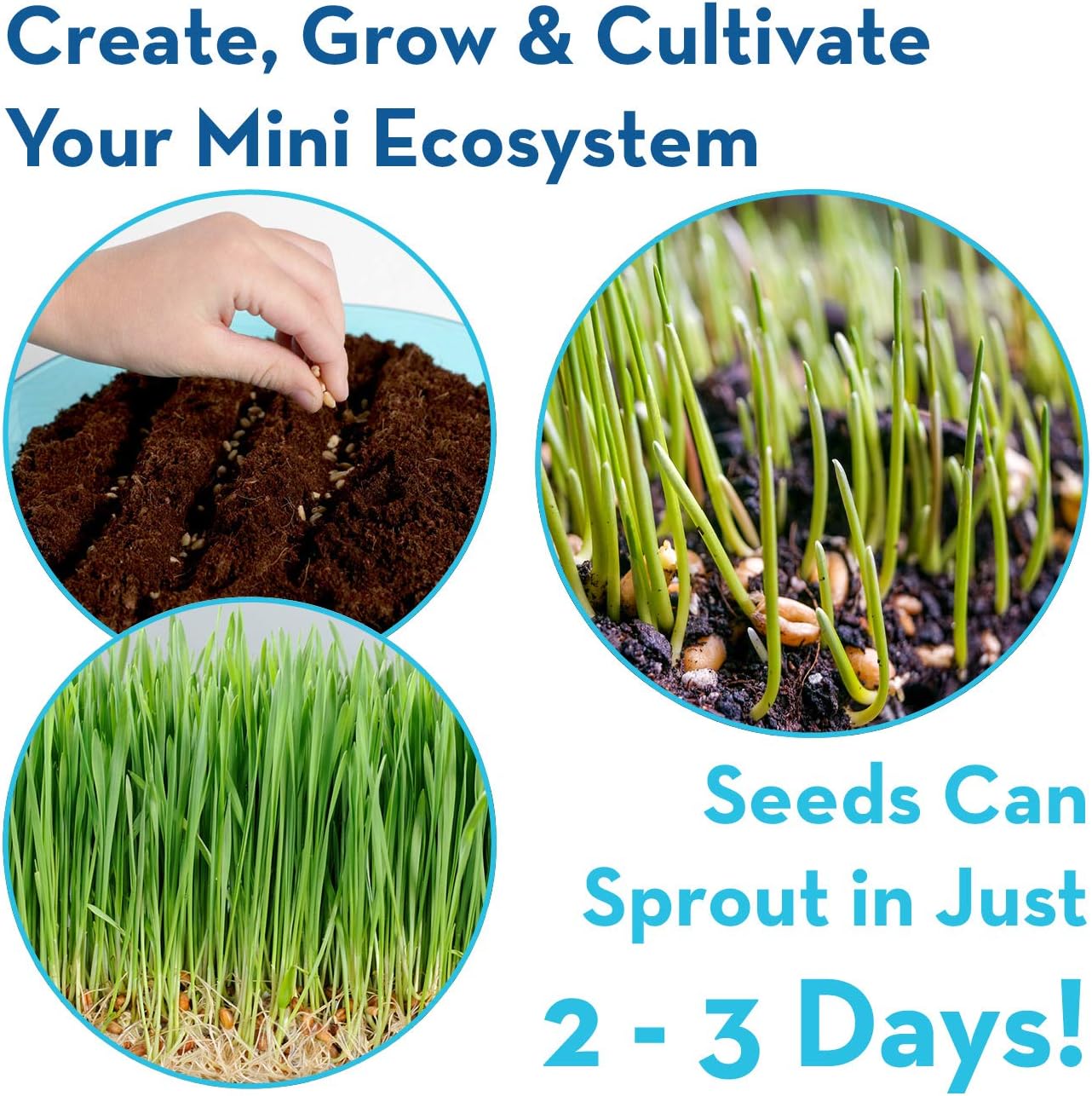 Little Growers Dinosaur Terrarium Kit for Kids with Neon Paint and LED Lights - Plant and Grow Mini Light Up Garden - Science and Craft Kits for Boys and Girls - STEM Age Gardening Gifts and Toys : Toys & Games