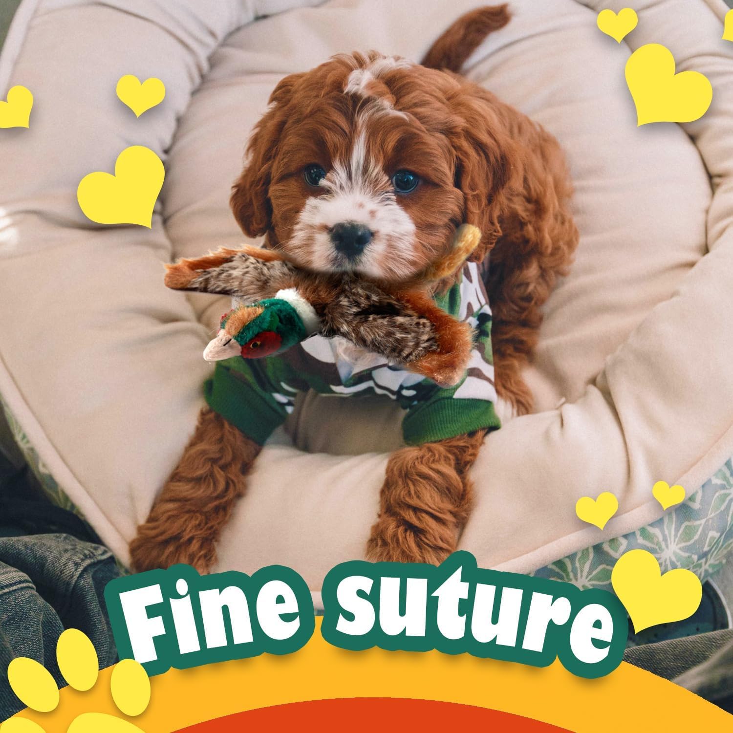All For Paws Perro Juguete con Squeaker