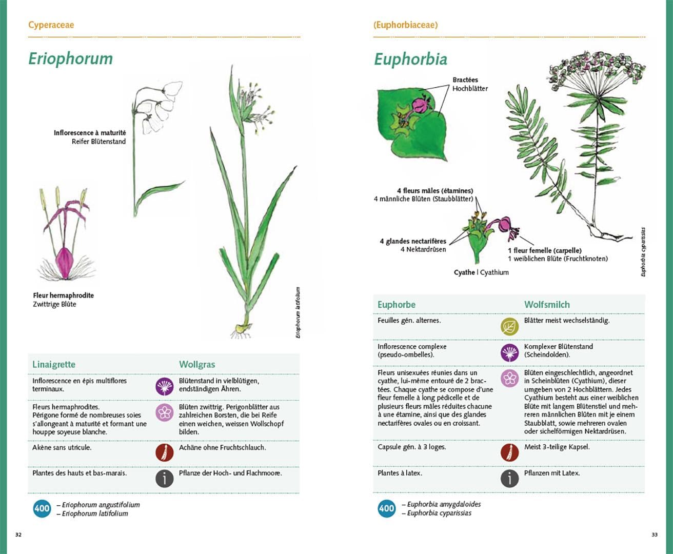 Carnet 400: Vorbereitung für das Botanik-Zertifikat "Iris" – Préparation au certificat botanique "Iris"