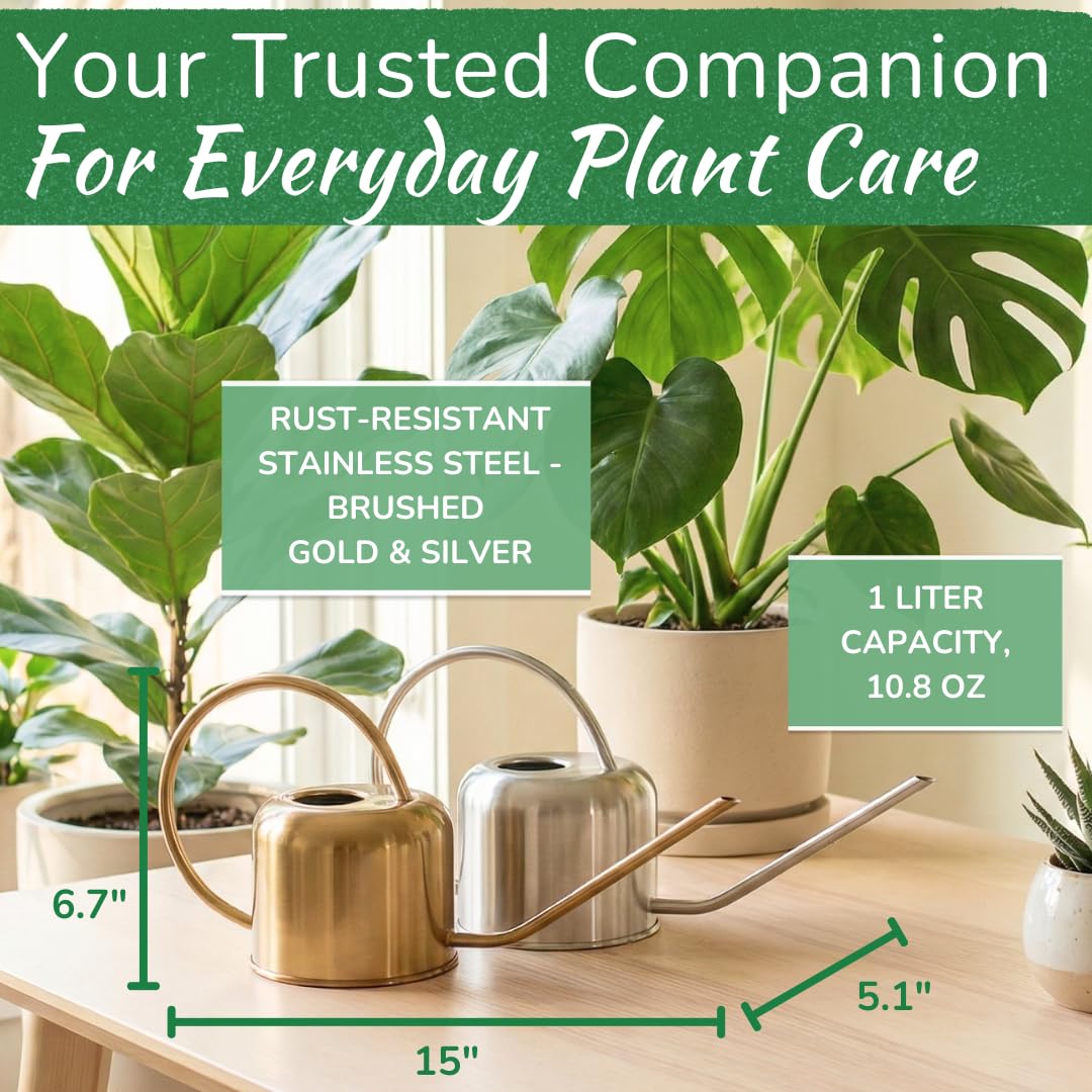 Konewka ze stali nierdzewnej do roślin doniczkowych od Houseplant Resource Centre, pojemność 1 l, do roślin wewnątrz/na zewnątrz, ze szczotkowanego złota