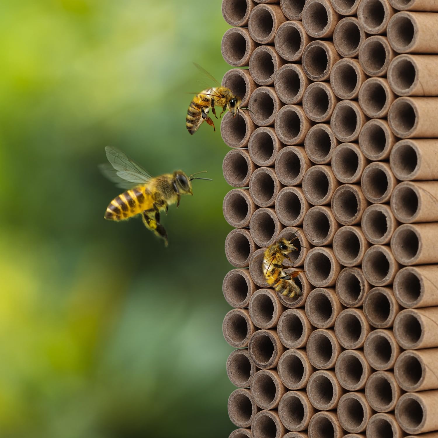 120pcs Mason Maison Abeille, 15,2cm Long Carton Recharges de Tubes d'Abeilles Diamètre Intérieur 8mm Inserts de Tubes Papier Nidification d'Abeilles Remplacement de Tubes Ruches d'Abeilles