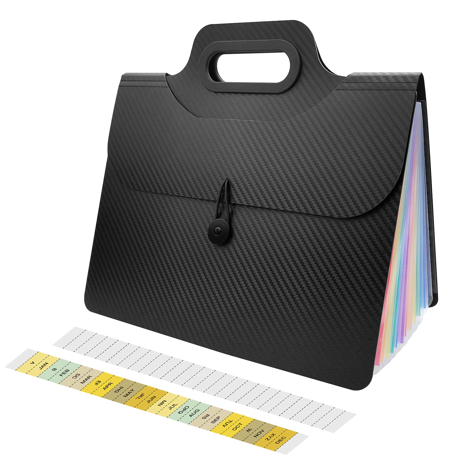 Buy CHEPULA 13 Pockets Expanding File Folders with Handle Expandable