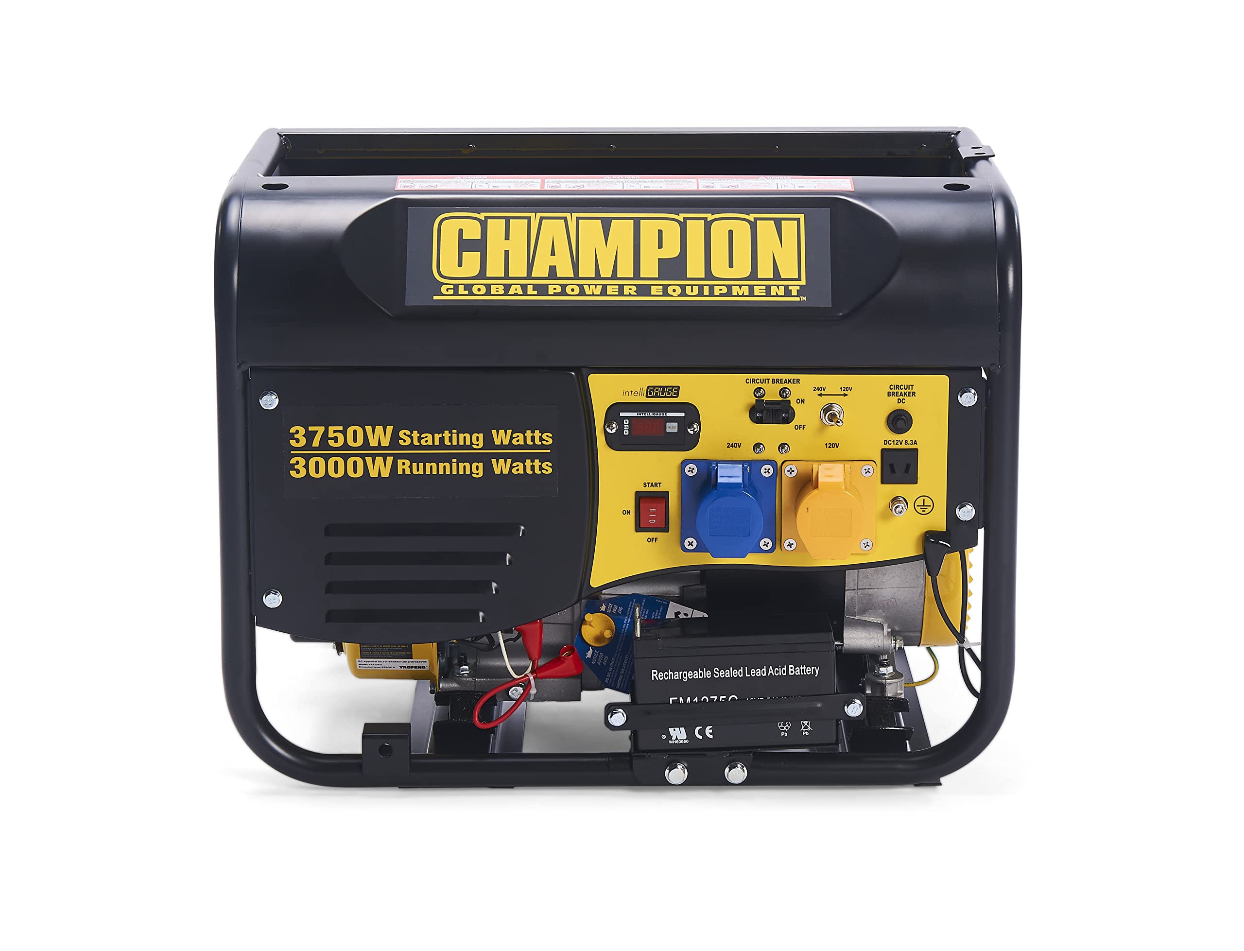 Buy Champion Power Equipment CPG4000E1 3500 Watt Portable Petrol Frame