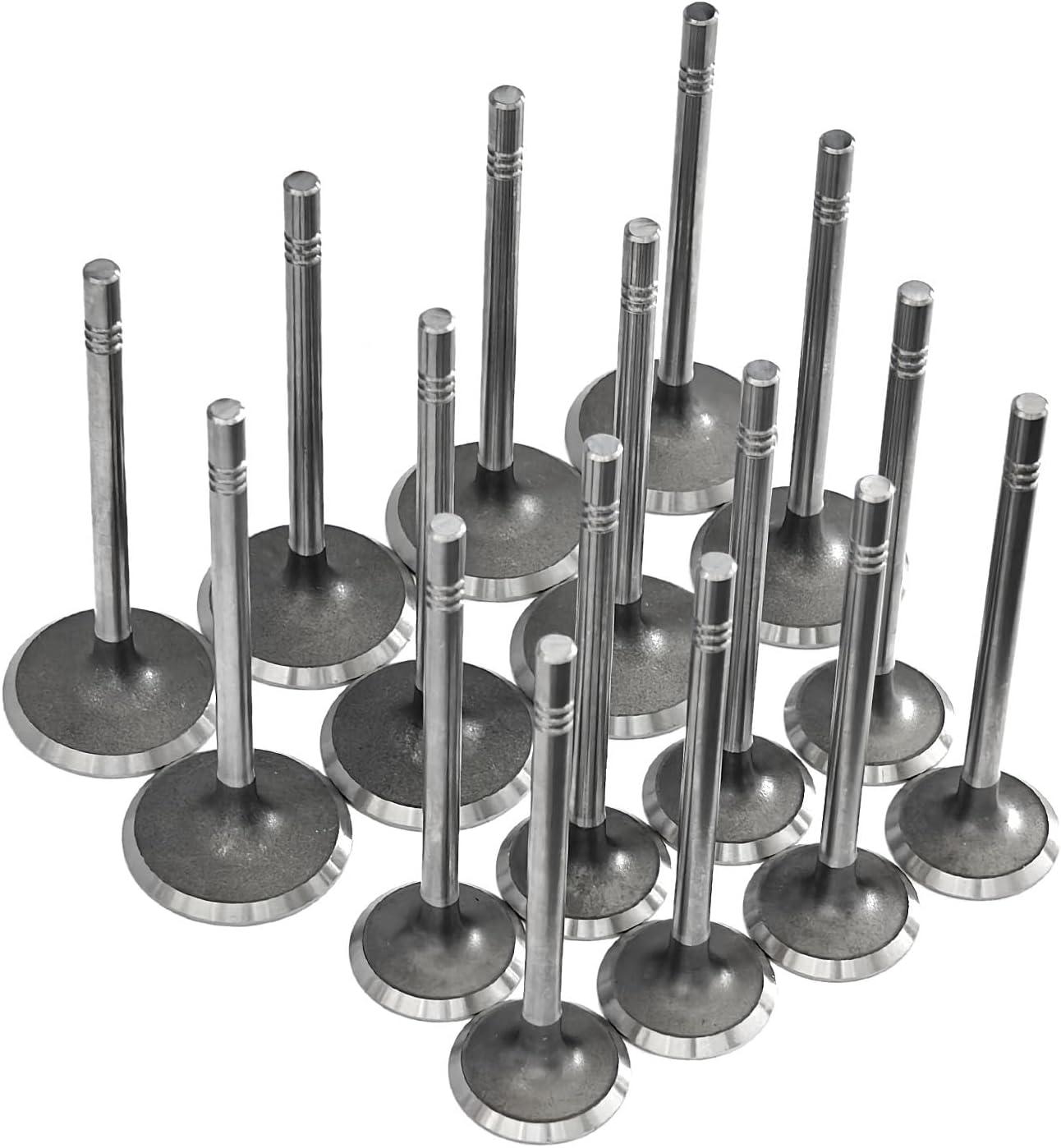 Intake Valves & Exhaust Valves Set Fits for Ford Crown Victoria F-150 F-250 F-350 E-150 E-250 E-350 Mustang for Lincoln for Mercury 4.6L 5.4L 1992-1999