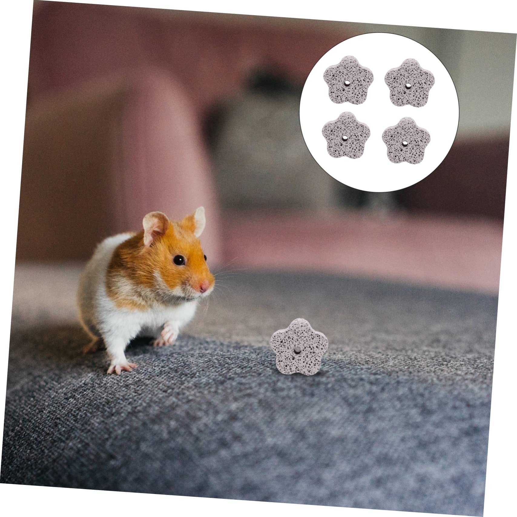 36stücke Förmige Mineralsteine Für Tiere Kalziumreiche Kauspielzeuge Zahnpflege Von Hamstern Und Kaninchen Fördert Gesunde Zähne Und Verhindert Nagen An Möbeln