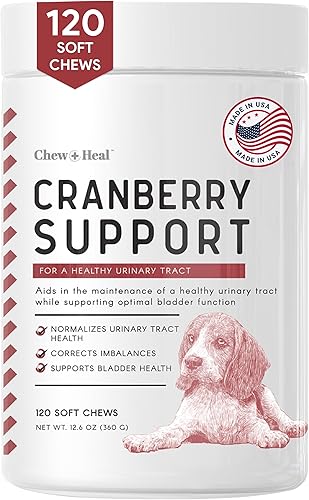 Chew + Heal - Tratamiento de la infección urinaria masticables de arándano para perros, 240 masticables suaves, apoya la función saludable del