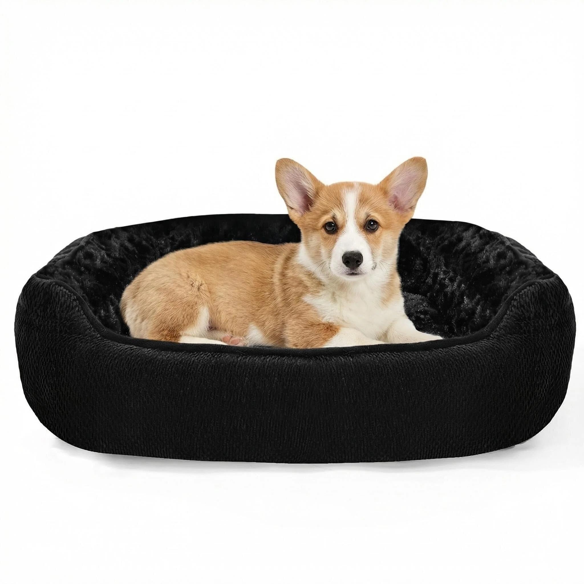 Modernest Dog Bed Medium, Orthopedic Calming Washable Pet Bed with Thick PP Cotton Padding, Anti-Slip Bottom & Low Front Design, Rose Swirl Weaving Fabric for Small Medium Dogs