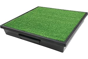 PetSafe Pet Loo Large Indoor Dog Potty - Your Reliable Solution for House Training